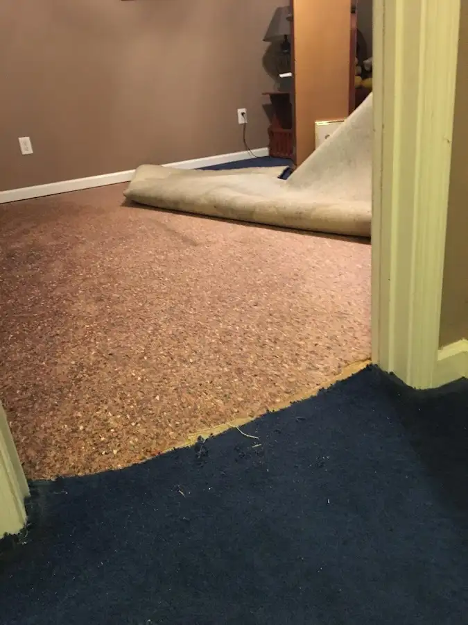 Carpet pad removal revealing water damage during Drying & Dehumidification in Eaton